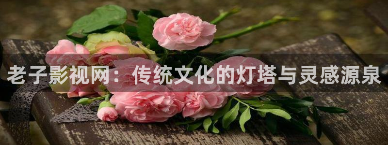 伊人一本影院：老子影视网：传统文化的灯塔与灵感源泉