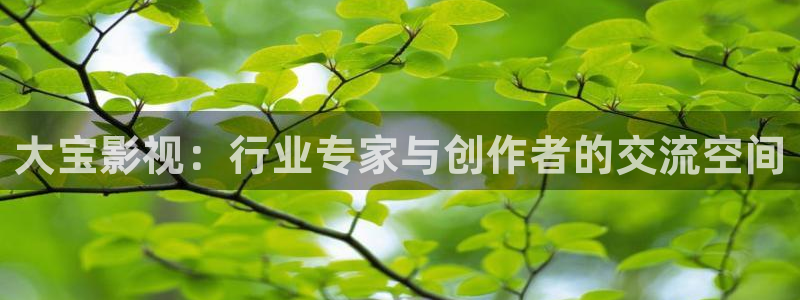 伊人影视成人：大宝影视：行业专家与创作者的交流空间