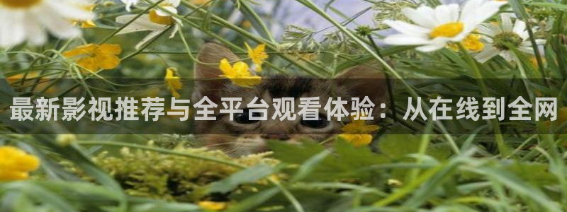 伊人av影院：最新影视推荐与全平台观看体验：从在线到全网