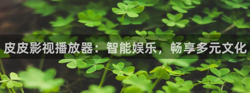 伊人影院光棍天堂：皮皮影视播放器：智能娱乐，畅享多元文化
