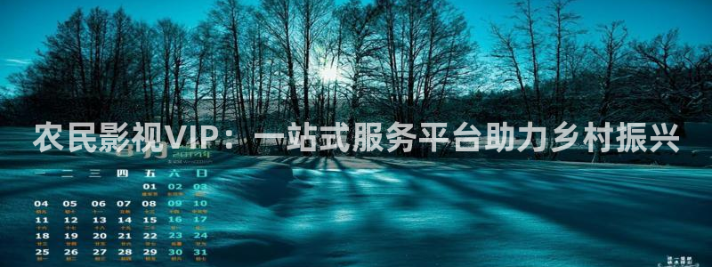 伊人影院成人：农民影视VIP：一站式服务平台助力乡村振兴