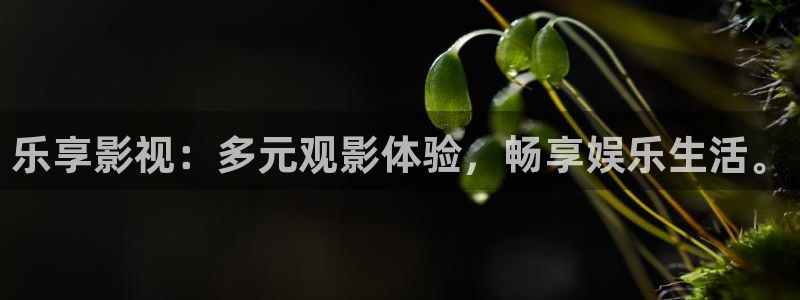 伊人高清影院：乐享影视：多元观影体验，畅享娱乐生活。