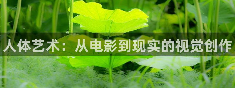 伊人影院免费在线播放：人体艺术：从电影到现实的视觉创作