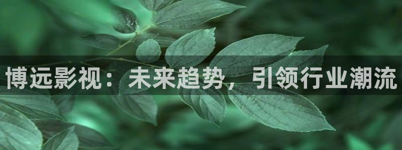 伊人大影院：博远影视：未来趋势，引领行业潮流