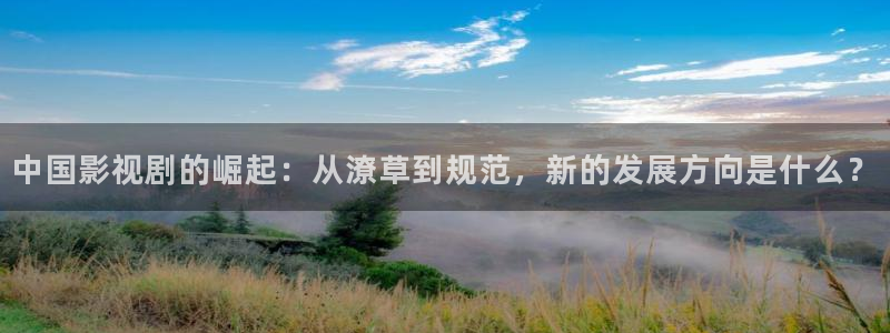 大伊人影院在线观看：中国影视剧的崛起：从潦草到规范，新的发展方向是什么？